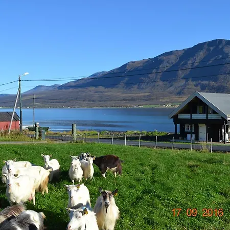 Lyngen Ski- Og Fiskecamp *