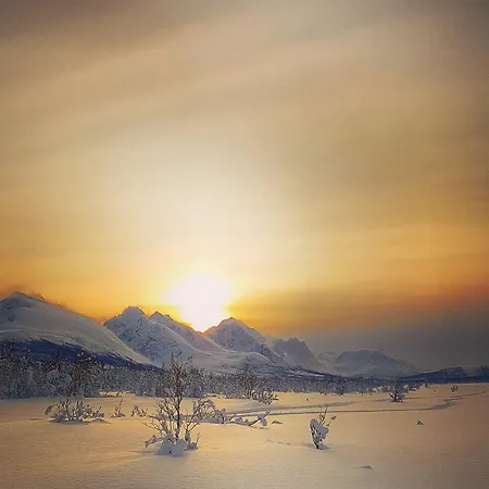Lyngen Ski- Og Fiskecamp אכסניה