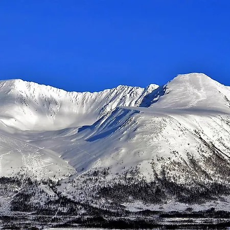 Lyngen Ski- Og Fiskecamp אכסניה Lenangsoyra