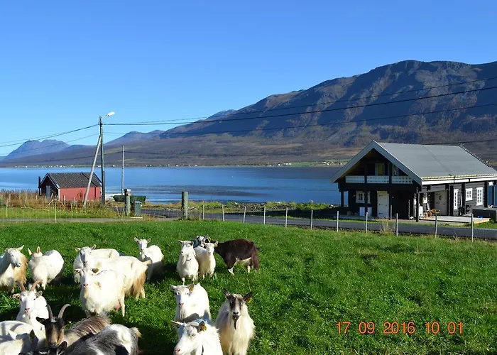 Lyngen Ski- Og Fiskecamp *