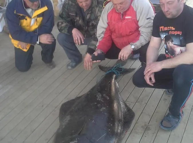 Lyngen Ski- Og Fiskecamp Lenangsoyra