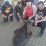 Lyngen Ski- Og Fiskecamp Lenangsoyra