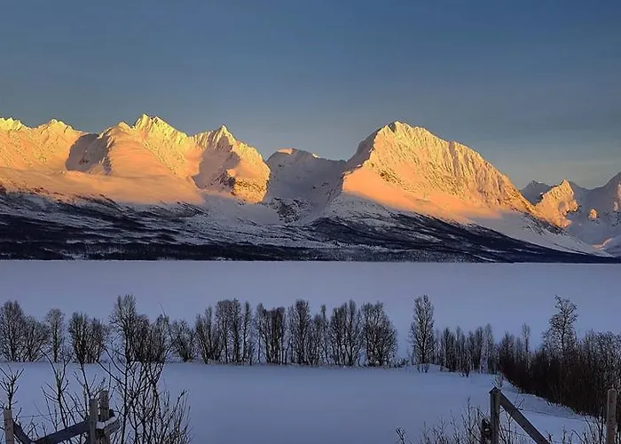 Lyngen Ski- Og Fiskecamp Lodge *