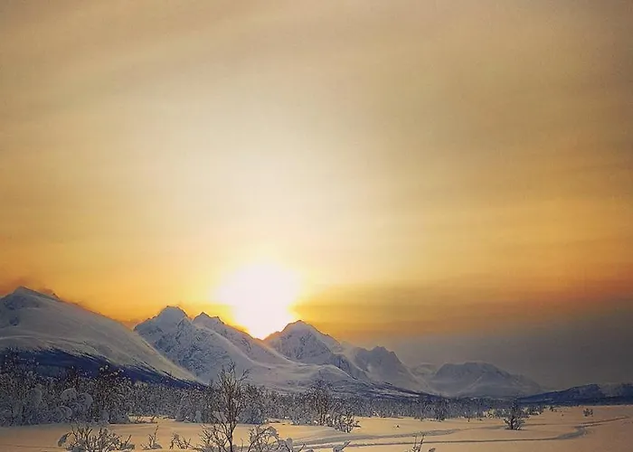 Lyngen Ski- Og Fiskecamp Lodge