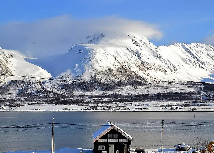 Lyngen Ski- Og Fiskecamp Lodge